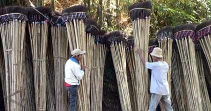 sapu sawang foto antara news sapu sawang foto antara news