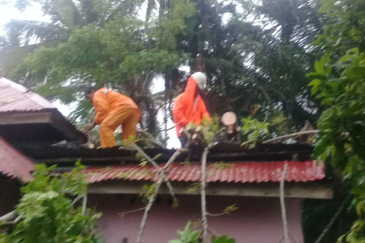 Satu Unit Rumah Di Agam Rusak Ditimpa Pohon Tumbang ANTARA Sumbar