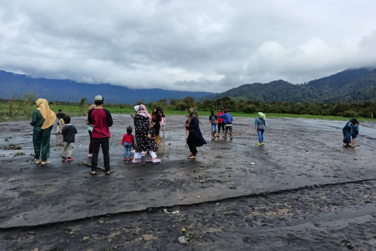 Lahar Dingin Gunung Kerinci Timbun Hektare Sawah Warga Antara News