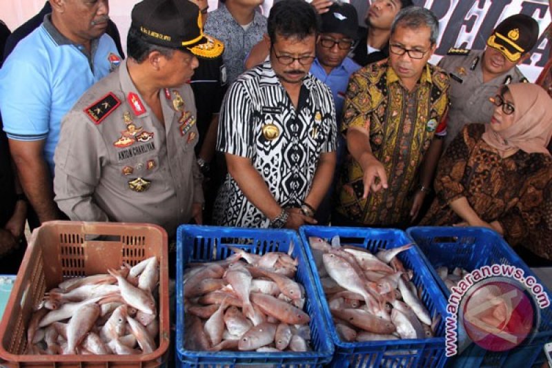 Penangkapan Ikan Berformalin ANTARA News