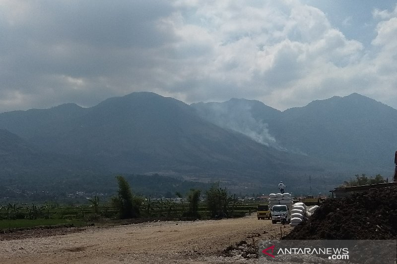 Lahan Hutan Gunung Guntur Terbakar Antara News