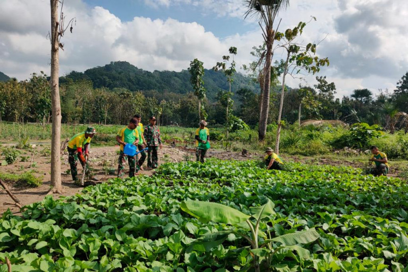 Satgas Pamtas Ri Rdtl Bangun Ketahanan Pangan Di Perbatasan Antara