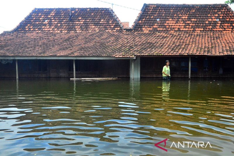 Banjir Di Kudus Semakin Meluas ANTARA News