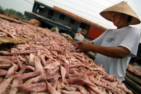 Usaha ikan asin Pekalongan terancam Usaha ikan asin Pekalongan terancam