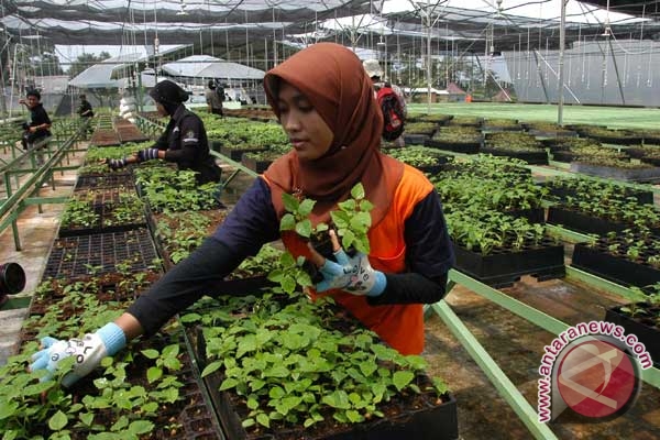 Kota Banjarbaru siapkan Kota Banjarbaru siapkan