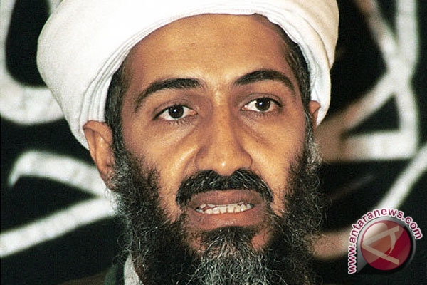 osama bin laden pictures. Osama bin Laden. (Reuters)