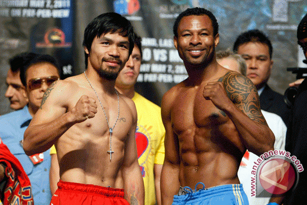 Mosley gantung sarung tinju Mosley gantung sarung tinju