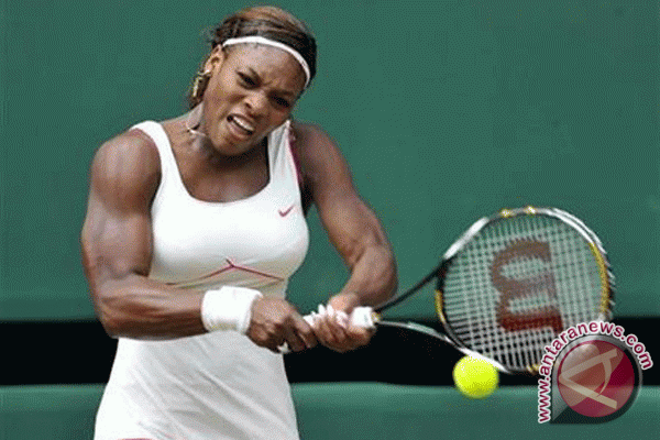 Serena ke perempat final Wimbledon kalahkan Shvedova Serena ke perempat final Wimbledon kalahkan Shvedova