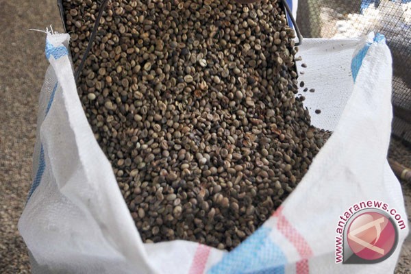 Wah...pengusaha asing kuasai kopi Indonesia Wah...pengusaha asing kuasai kopi Indonesia