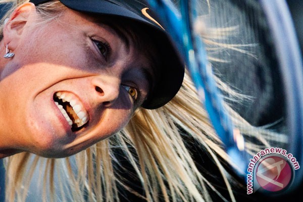 Sharapova atlet putri berpendapatan tertinggi Sharapova atlet putri berpendapatan tertinggi