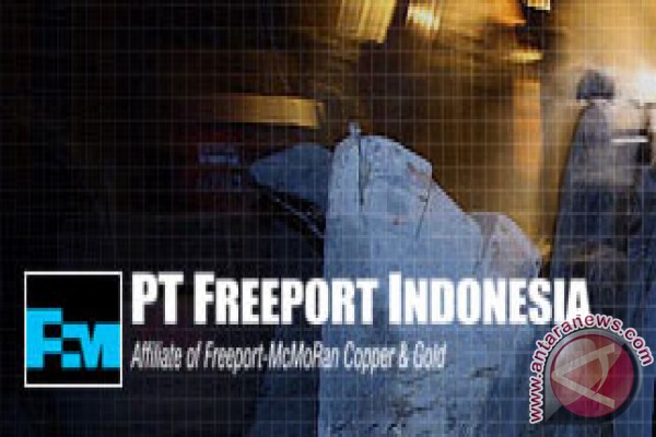 Puluhan pekerja Freeport tertimbun longsor Puluhan pekerja Freeport tertimbun longsor
