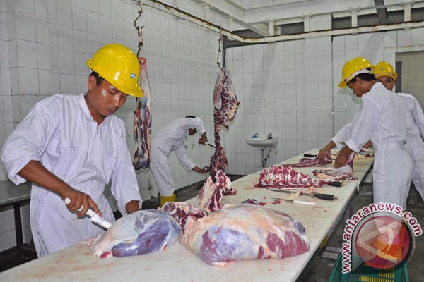 Semarang akan suplai daging ke Jakarta Semarang akan suplai daging ke Jakarta
