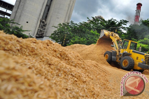 Pemerintah siap kuncurkan bantuan pakan ternak Pemerintah siap kuncurkan bantuan pakan ternak
