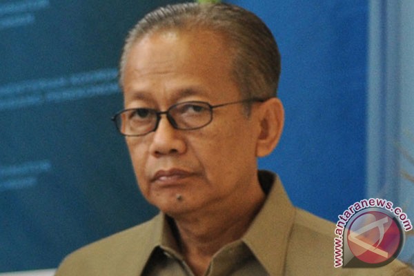 Kementan fokus bibit tingkatkan produksi pangan Kementan fokus bibit tingkatkan produksi pangan