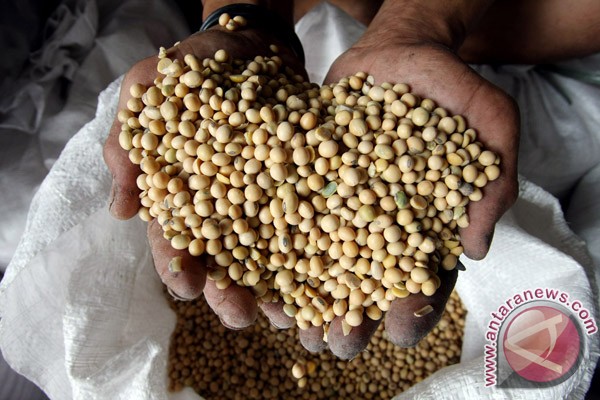 Cara membuat tahu yang sehat Cara membuat tahu yang sehat
