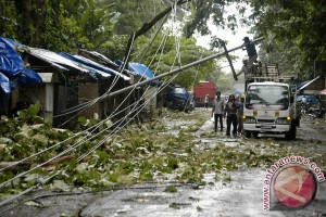 berita tentang angin kencang yang melanda kabupaten Banyumas,cilacap,kebumen,purworejo,magelang, dan yogjakarta