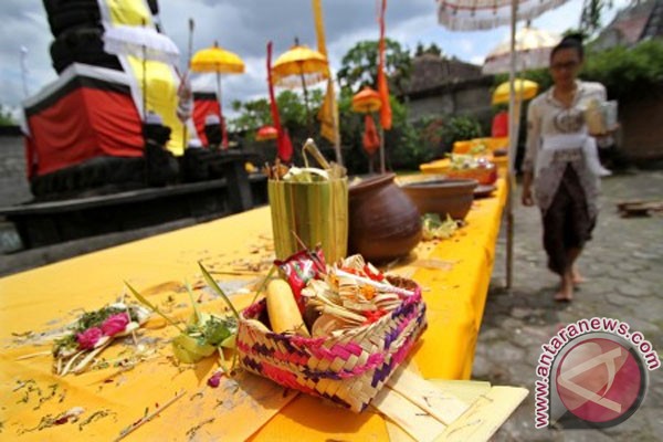 Harga pisang jadi mahal jelang Galungan Harga pisang jadi mahal jelang Galungan