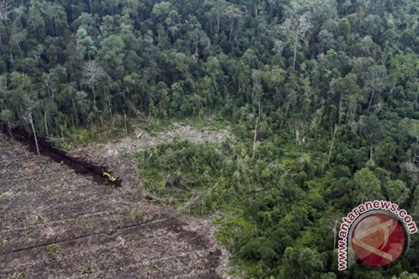 Pengelolaan gambut agar sesuai konsep ekonomi hijau Pengelolaan gambut agar sesuai konsep ekonomi hijau