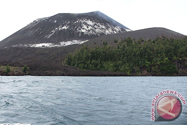 Kegempaan Gunung Anak Krakatau turun drastis Kegempaan Gunung Anak Krakatau turun drastis