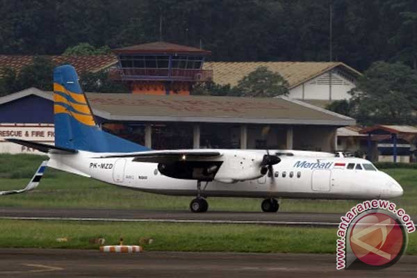 Merpati dinilai tidak sehat... Merpati dinilai tidak sehat...