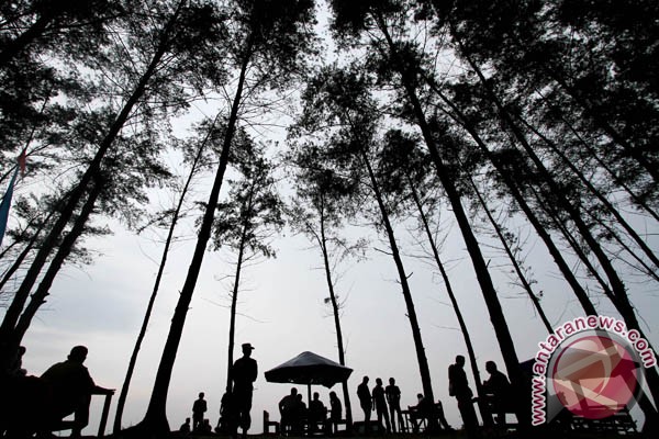 Peserta Rakernas Siwo PWI tanam 1.000 pohon Peserta Rakernas Siwo PWI tanam 1.000 pohon