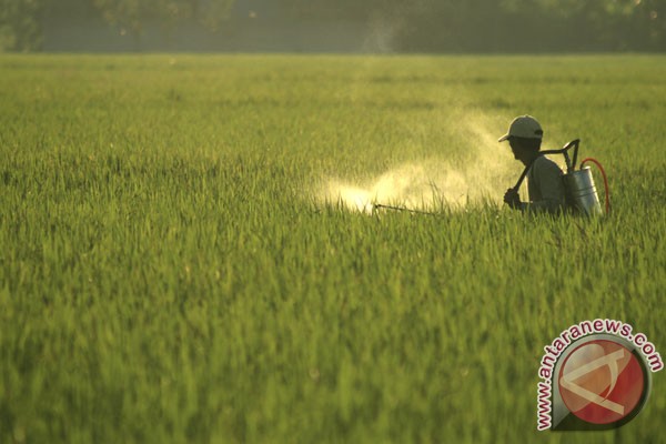 Klimatolog: perubahan iklim buat petani bingung Klimatolog: perubahan iklim buat petani bingung