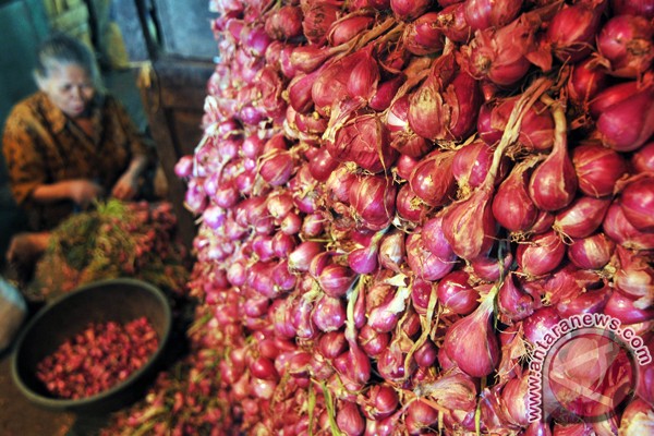 Bawang goreng Indonesia diminati pasar Singapura Bawang goreng Indonesia diminati pasar Singapura