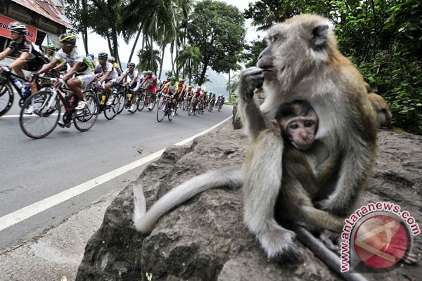 Putra Perjuangan, tim terbaik Tour de Singkarak Putra Perjuangan, tim terbaik Tour de Singkarak