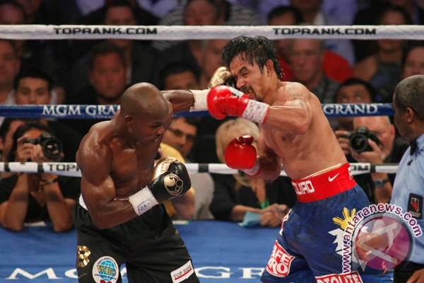 WBO: Pacquiao seharusnya menang WBO: Pacquiao seharusnya menang