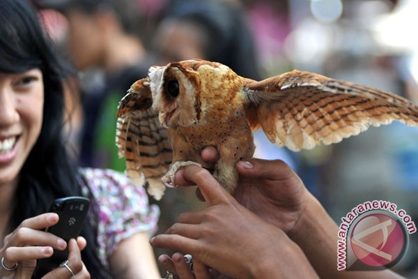 DKI gelar pameran Flona 2013 DKI gelar pameran Flona 2013