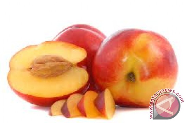 Usir diabetes dengan buah-buahan ini Usir diabetes dengan buah-buahan ini