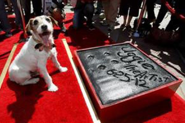 Uggie Uggie