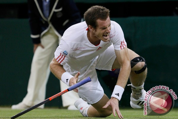 Murray lewati hujan kalahkan Cilic Murray lewati hujan kalahkan Cilic