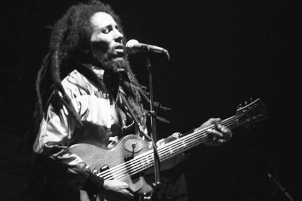 Nama Bob Marley dijadikan nama spesies parasit karang Nama Bob Marley dijadikan nama spesies parasit karang