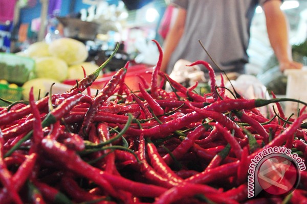 Masuki Ramadhan, harga cabe di Ambon naik Masuki Ramadhan, harga cabe di Ambon naik