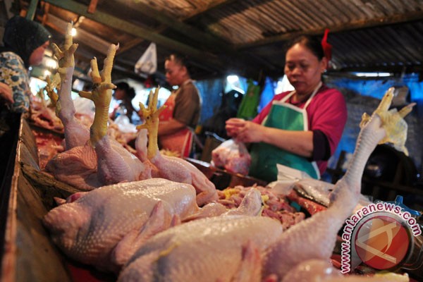 Harga daging melonjak Harga daging melonjak