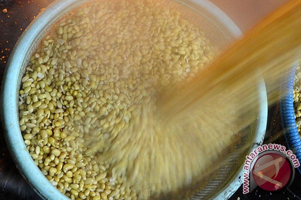 Pemerintah agar beri insentif produksi kedelai Pemerintah agar beri insentif produksi kedelai
