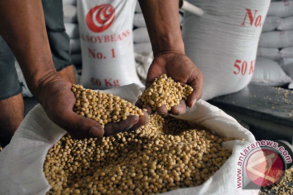 Menko Kesra minta perajin tempe kembali berproduksi Menko Kesra minta perajin tempe kembali berproduksi