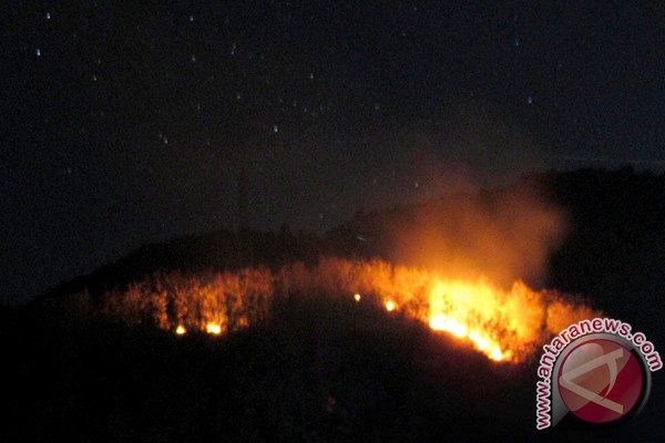 Lima hektar hutan lereng Gunung Sindoro terbakar Lima hektar hutan lereng Gunung Sindoro terbakar