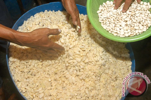 Pakar: saatnya kembali ke tempe kara Pakar: saatnya kembali ke tempe kara