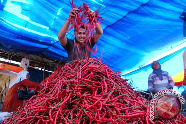 Harga cabe merah keriting naik Harga cabe merah keriting naik