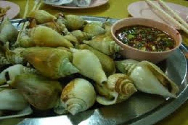 Siput Laut Berpotensi Jadi Saus Tiram Alami Antara News