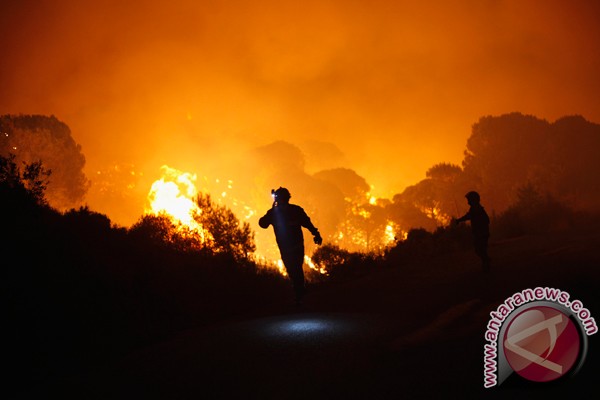 Hutan lindung di Kabupaten Buleleng terbakar Hutan lindung di Kabupaten Buleleng terbakar