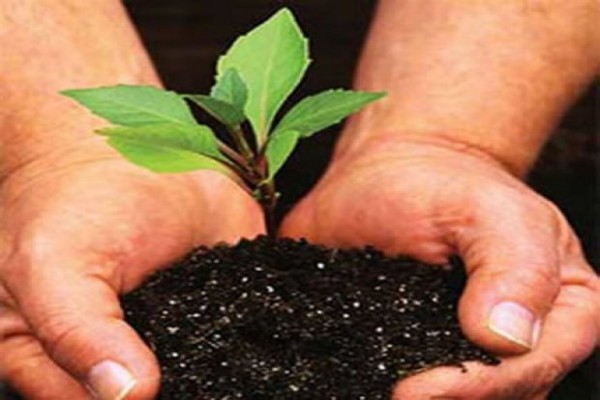 Pertamina tanam 1.000 pohon di Cabangbungin Pertamina tanam 1.000 pohon di Cabangbungin