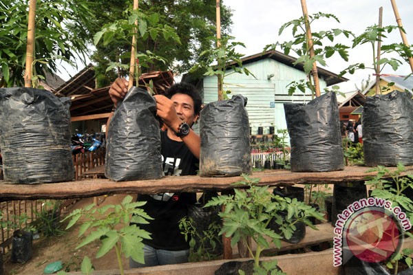 Sawahlunto canangkan Kawasan Rumah Pangan Lestari Sawahlunto canangkan Kawasan Rumah Pangan Lestari