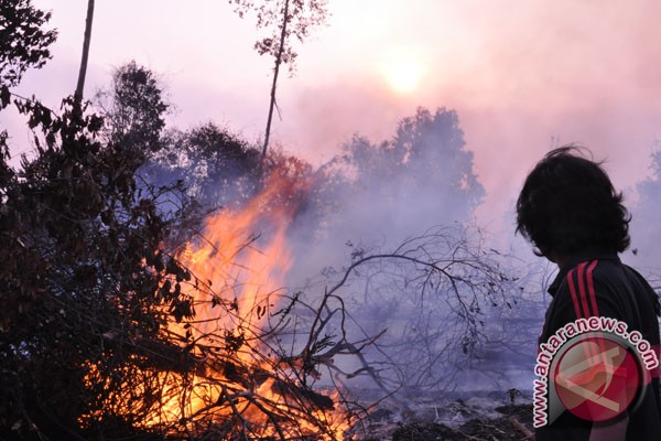 Kabut asap ancaman martabat bangsa Kabut asap ancaman martabat bangsa