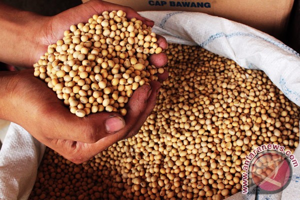 Pemerintah segera tetapkan HPP kedelai Pemerintah segera tetapkan HPP kedelai