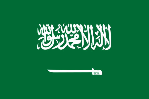 Saudi izinkan perempuan jadi kandidat dalam pemilihan daerah