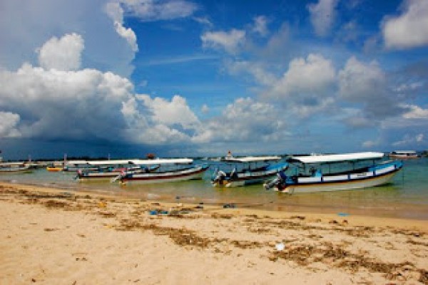 Reklamasi Teluk Benoa perparah lingkungan Bali Reklamasi Teluk Benoa perparah lingkungan Bali