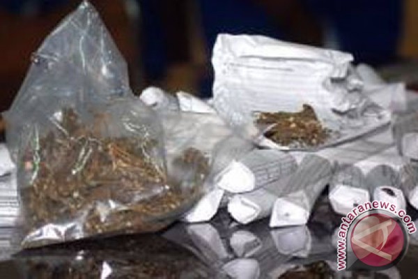 Polres sita 1 kg ganja dari lima pengedar Polres sita 1 kg ganja dari lima pengedar